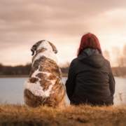 A person with medium length red hair in a black raincoat sits next to a large brown and white striped dog on the bank of a river on a cloudy day.