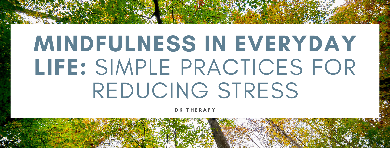 Mindfulness in Everyday Life_ Simple Practices for Reducing Stress