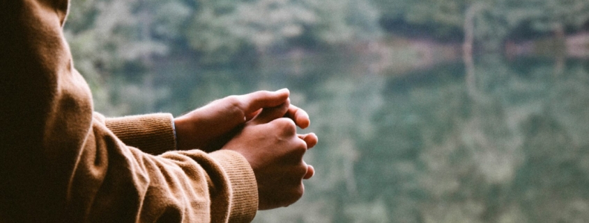 A person's hands and arms, leaning over a railing with water and trees beyond.